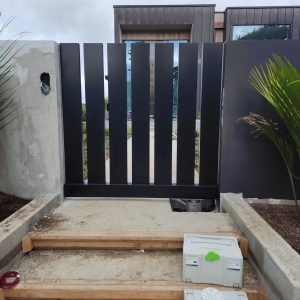Remuera - NZ 1